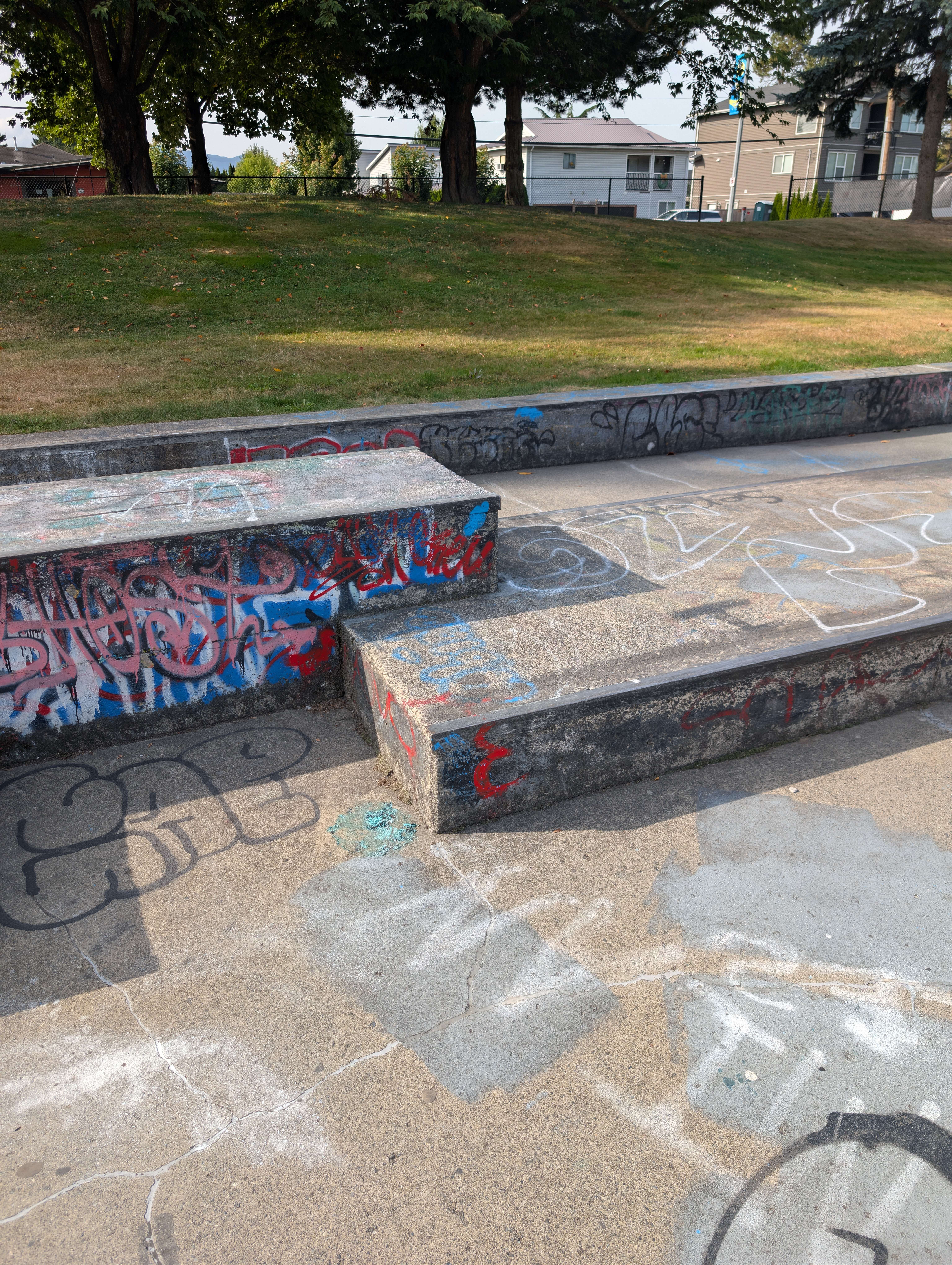 Chilliwack Landing Skatepark skatepark — photo 3