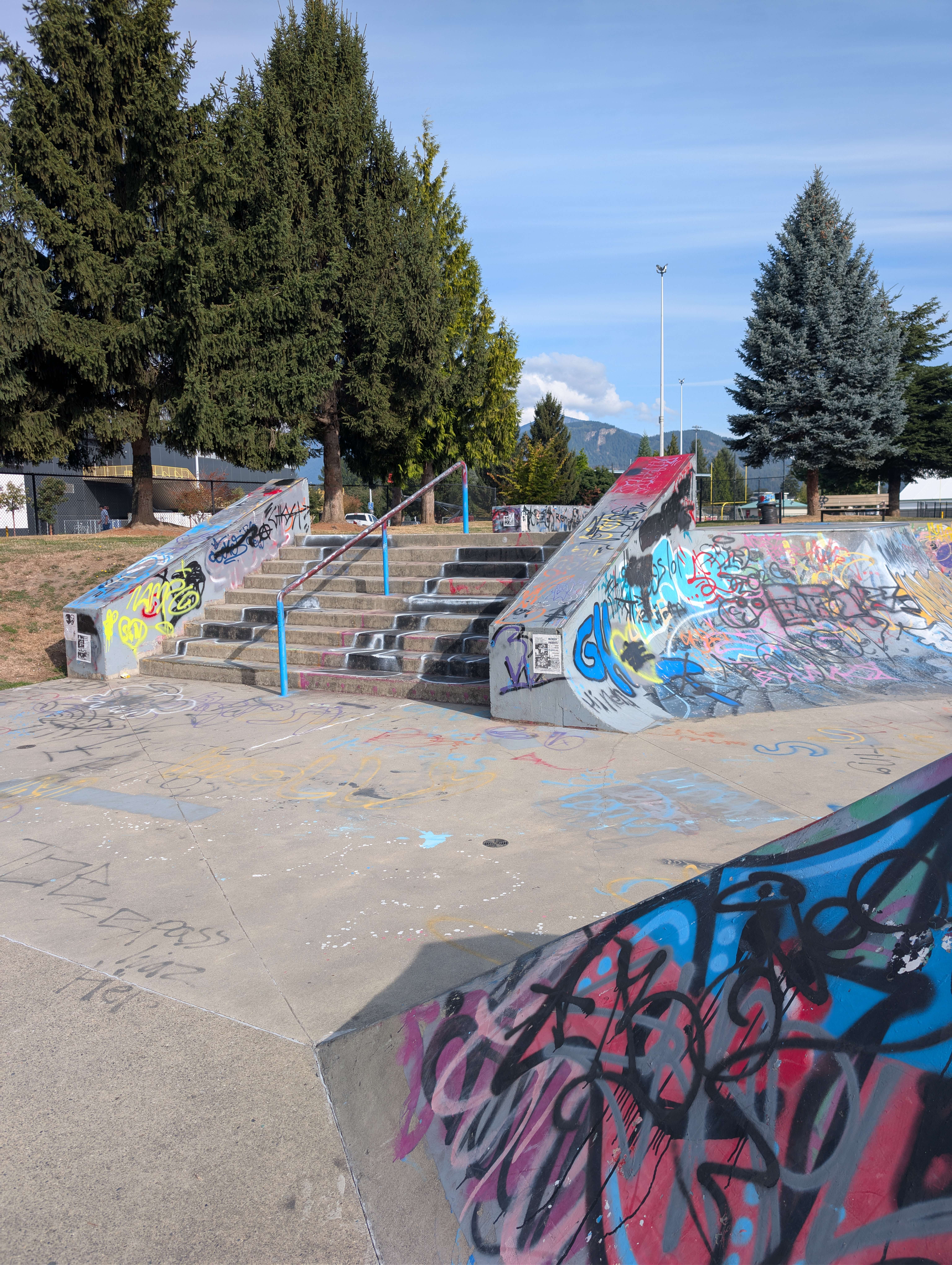Chilliwack Landing Skatepark skatepark — photo 4