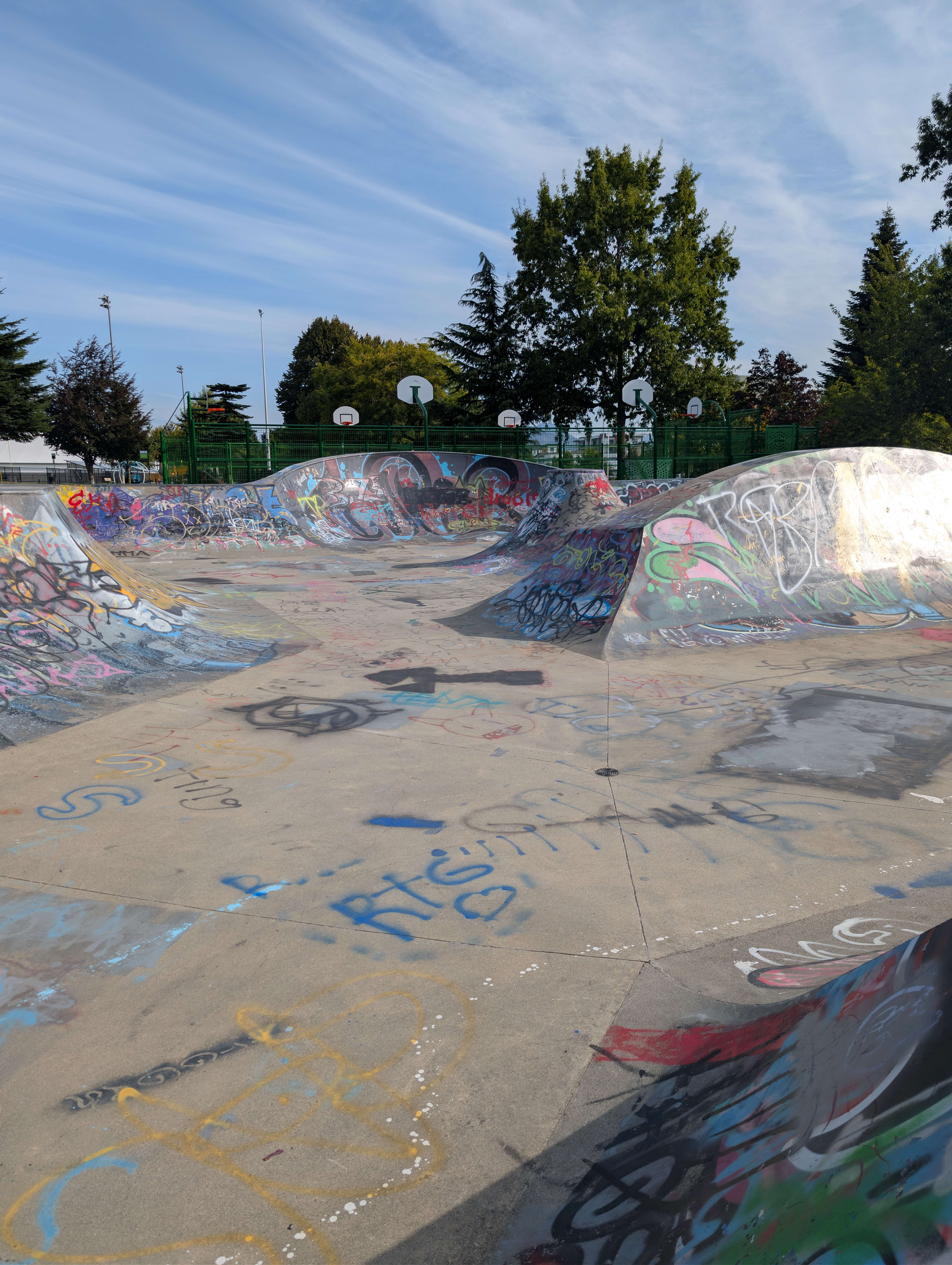 Chilliwack Landing Skatepark skatepark — photo 5