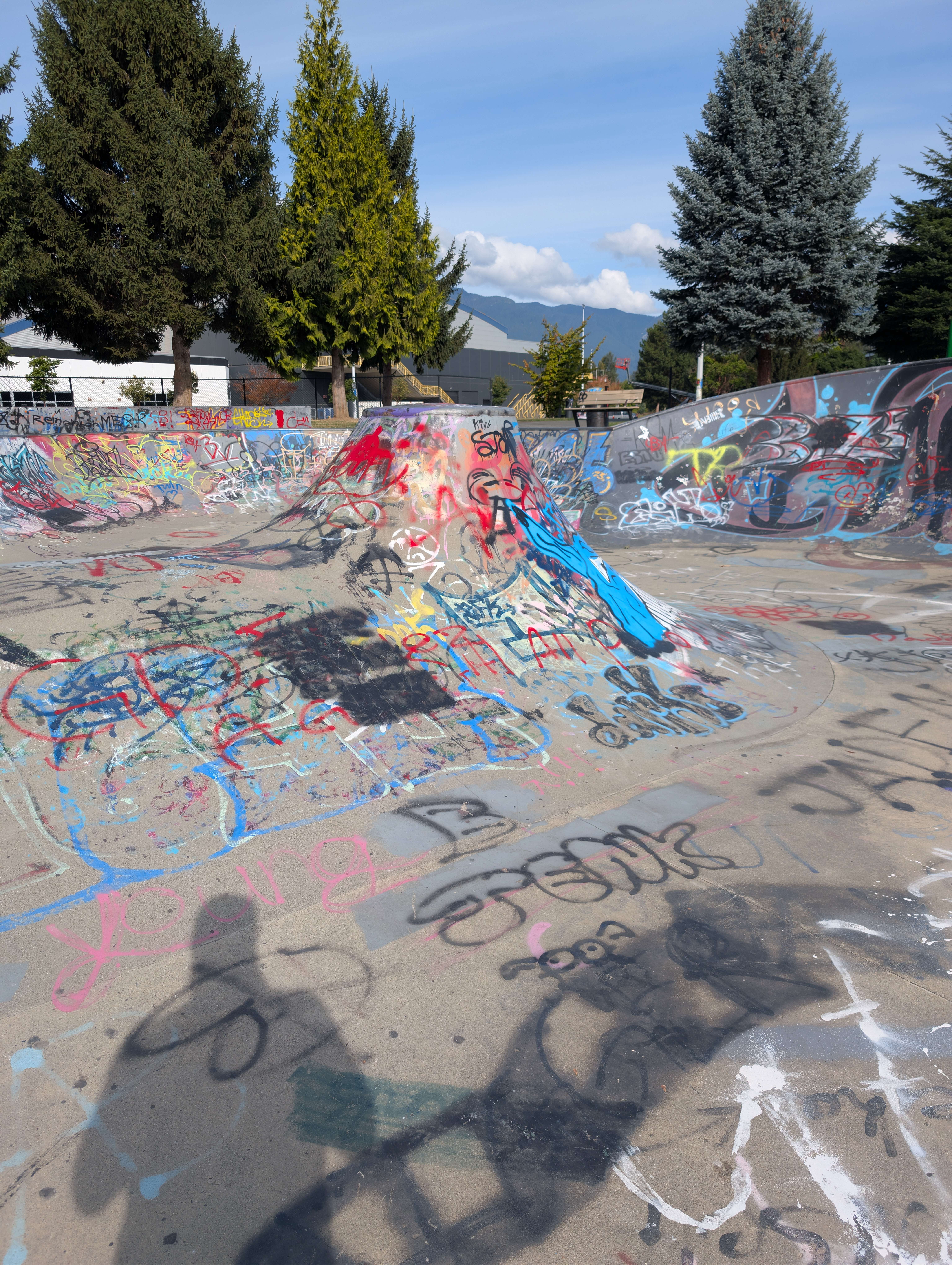 Chilliwack Landing Skatepark skatepark — photo 6