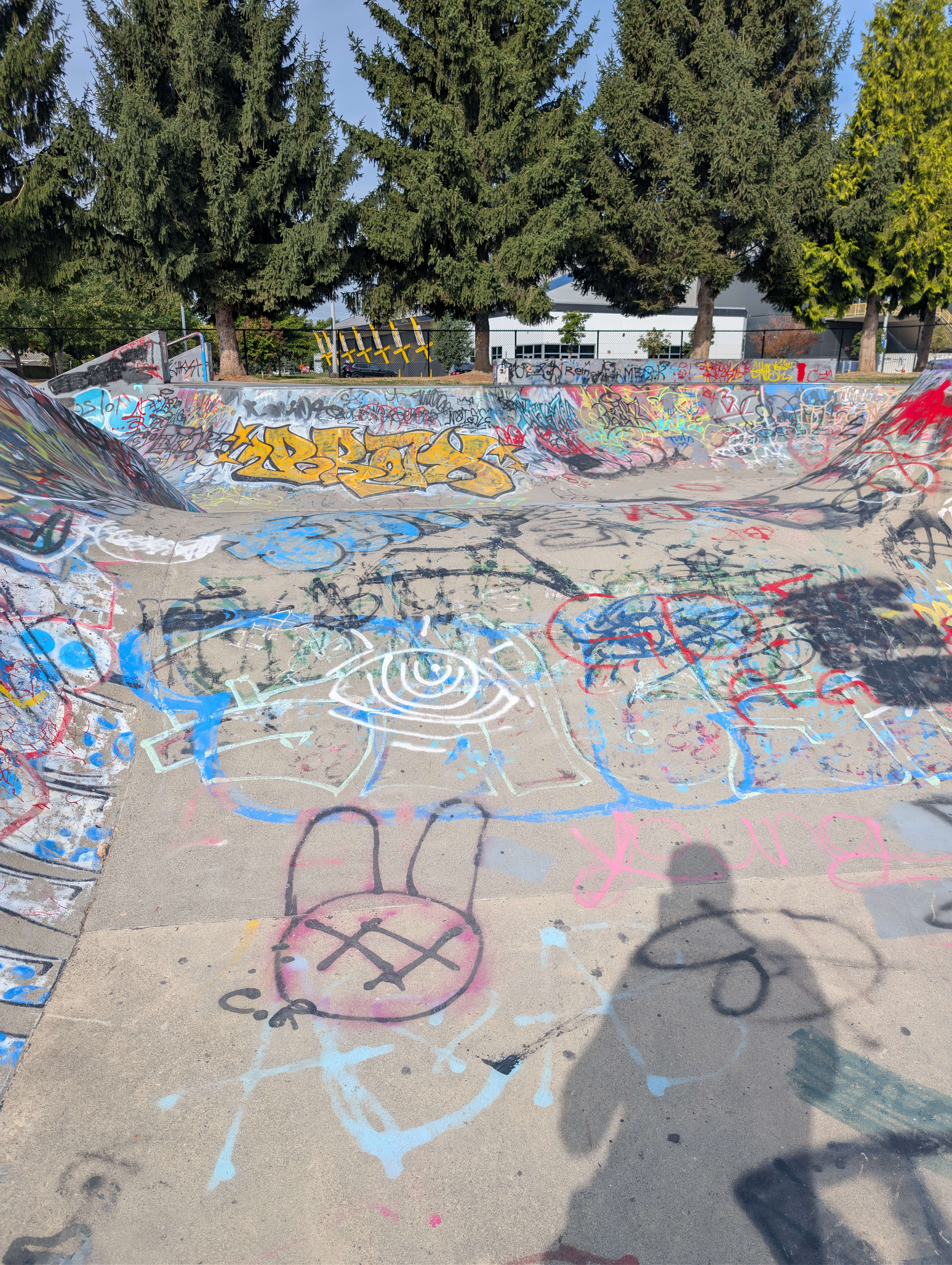 Chilliwack Landing Skatepark skatepark — photo 7
