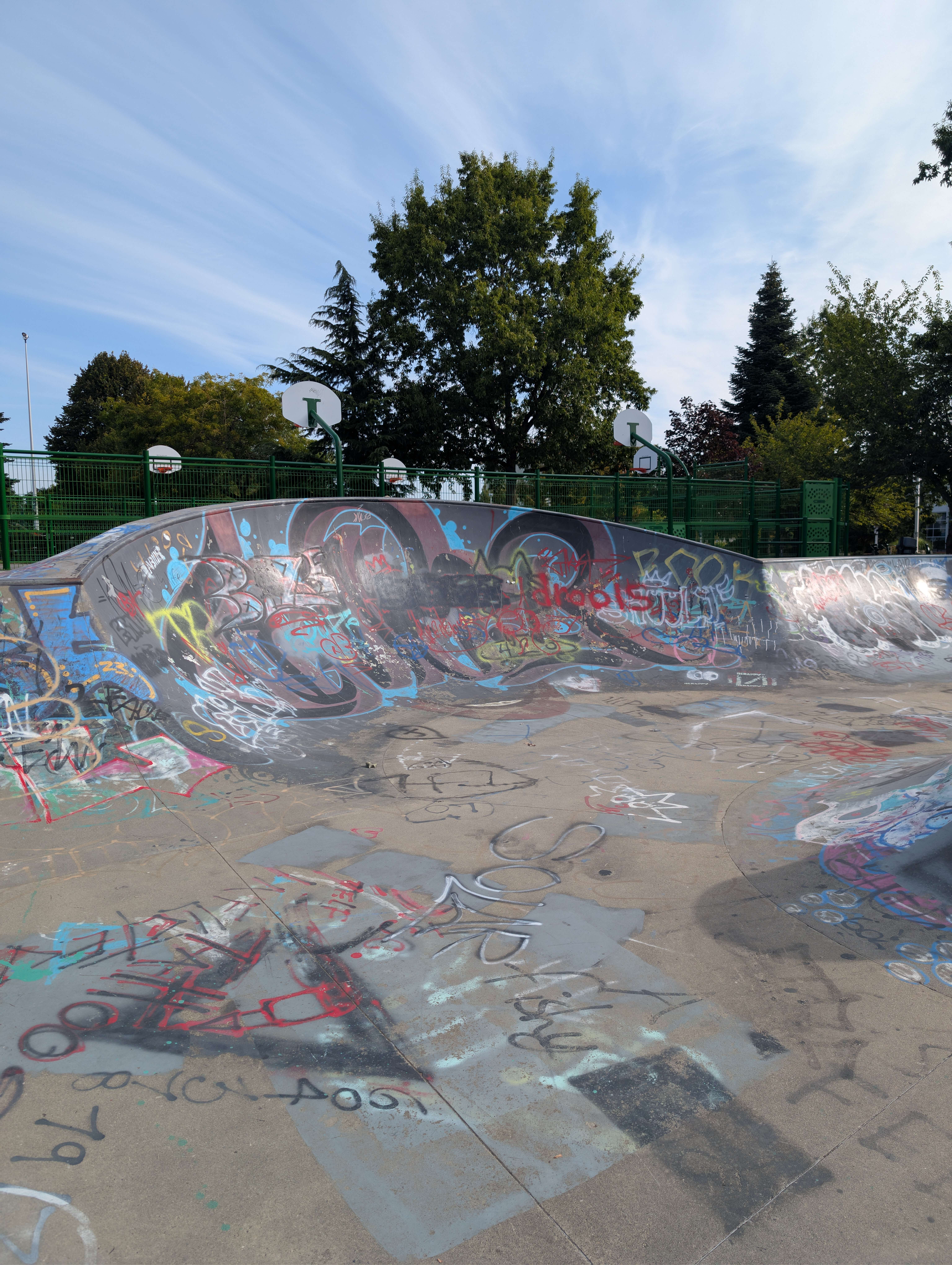 Chilliwack Landing Skatepark skatepark — photo 8