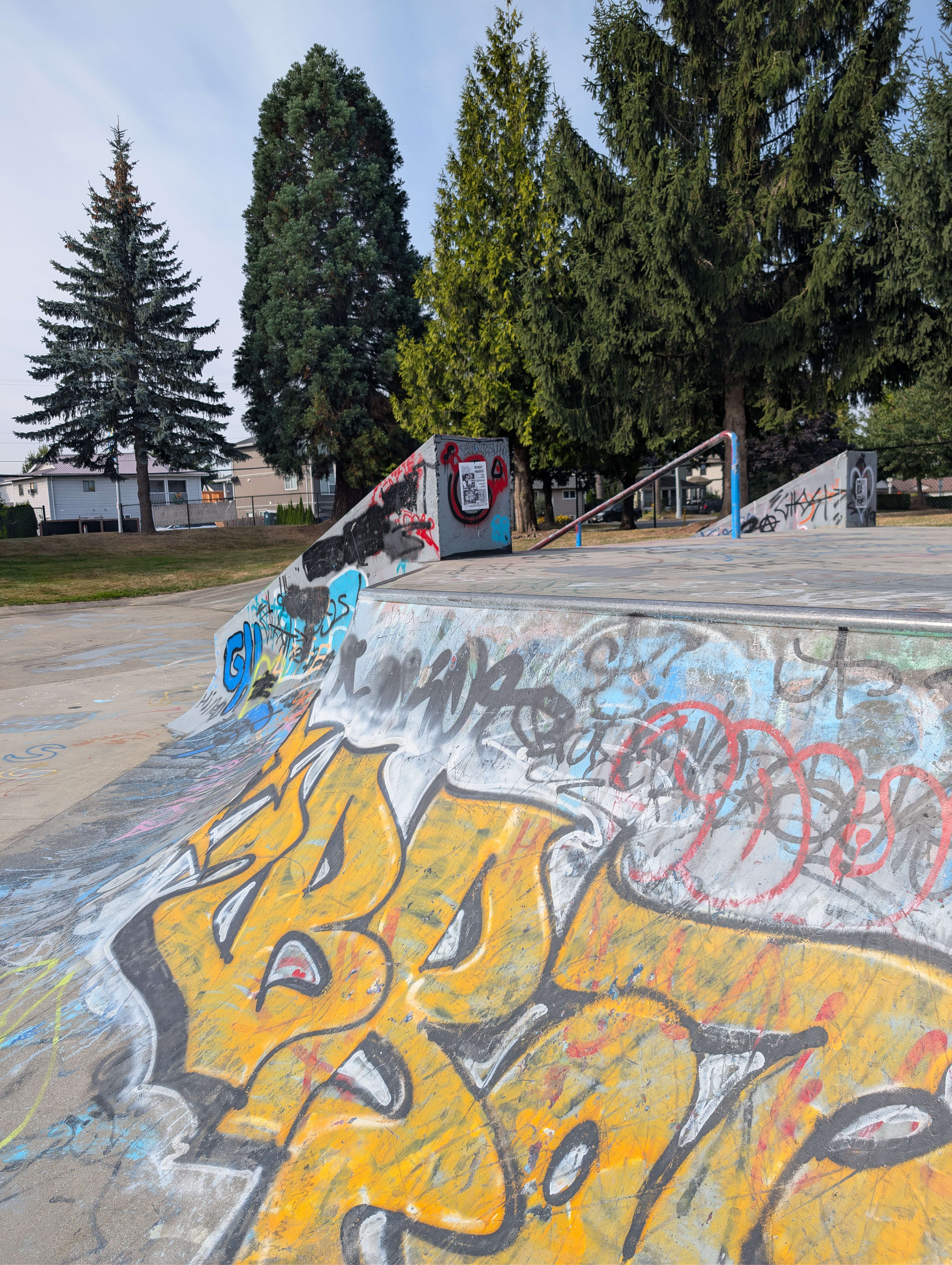 Chilliwack Landing Skatepark skatepark — photo 9