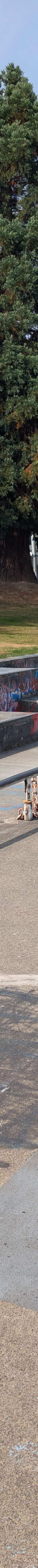 Chilliwack Landing Skatepark skatepark — photo 2