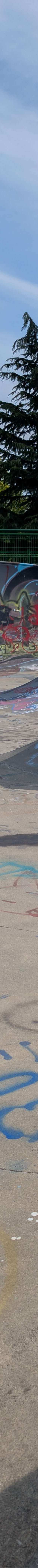 Chilliwack Landing Skatepark skatepark — photo 5