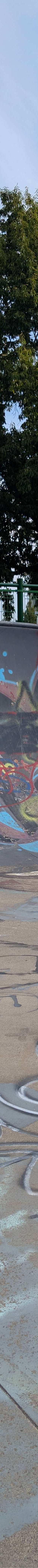 Chilliwack Landing Skatepark skatepark — photo 8