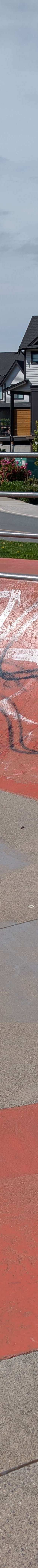 Webster Skatepark skatepark — photo 3