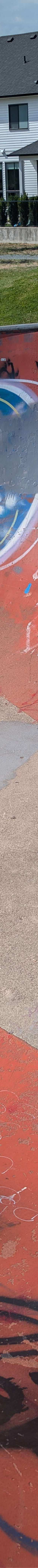 Webster Skatepark skatepark — photo 11